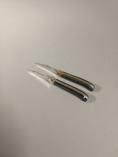 ITALIE - Couteau pliant, la lame gravée d...